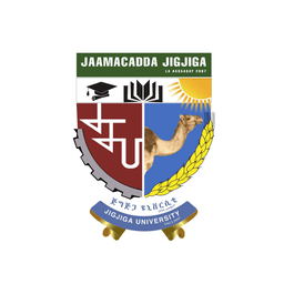 Jigjiga University